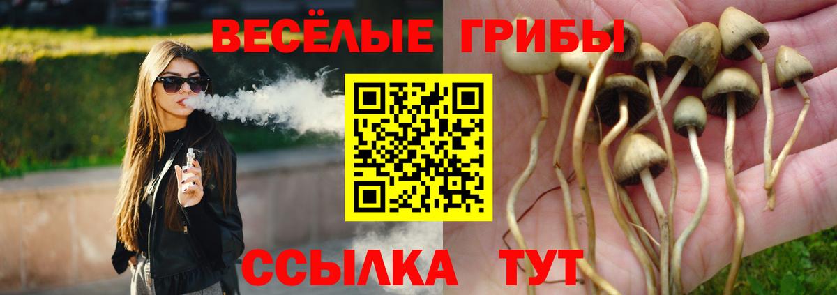 Псилоцибиновые грибы Psilocybe Лянтор